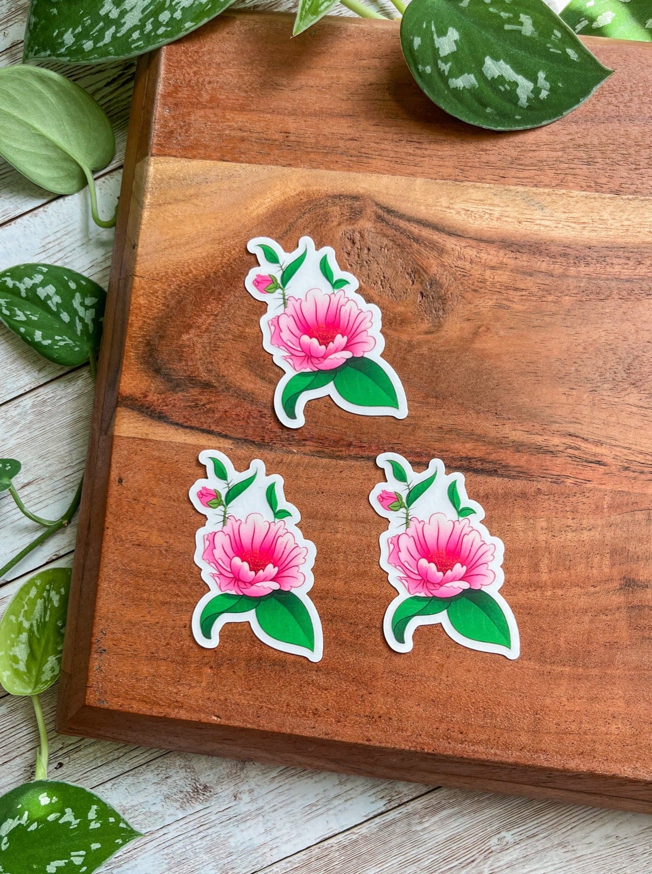 Rosa de Bayahibe clear sticker