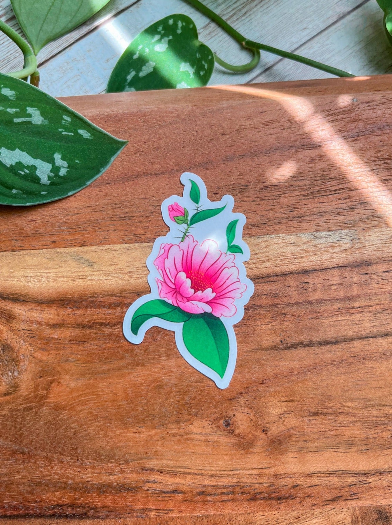 Rosa de Bayahibe clear sticker