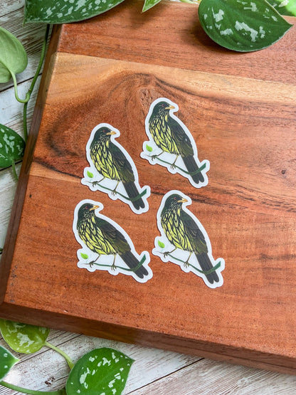 Cigua Palmera clear sticker