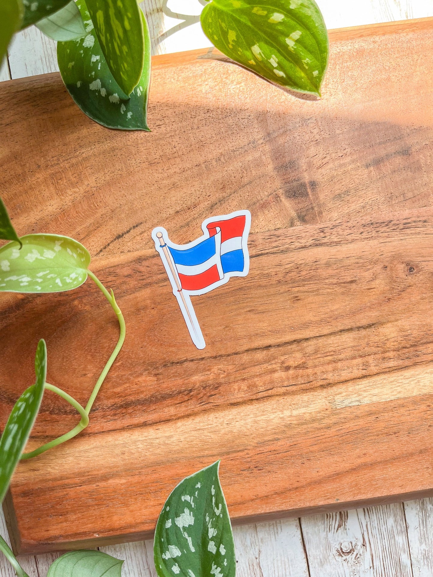 Dominican Flag